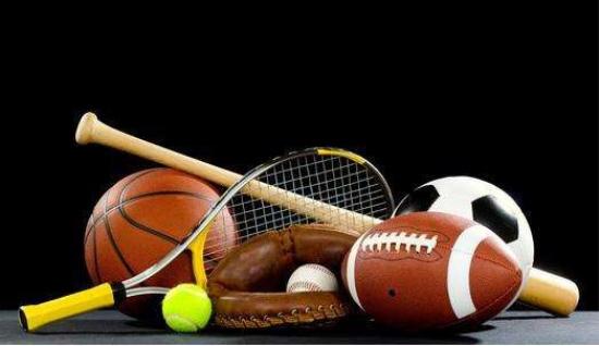 厄德高谈晋级世界杯：这种感觉无法用语言形容，简直疯狂至极