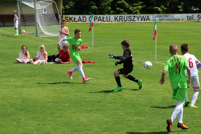 阿莫林及其 阿莫林及其