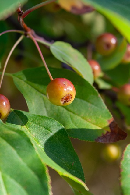 像胡金秋这 像胡金秋这