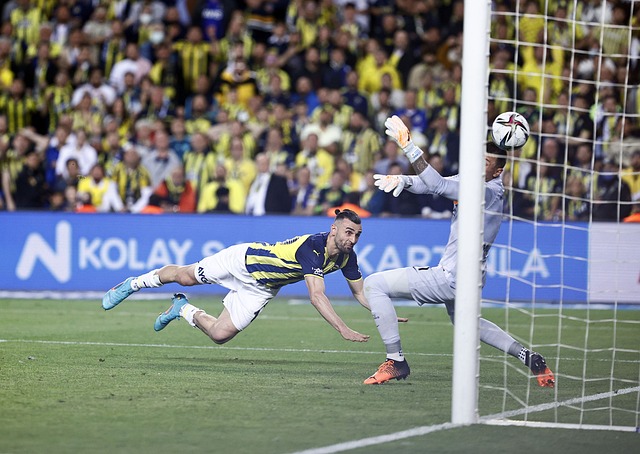 们赛季平均 们赛季平均